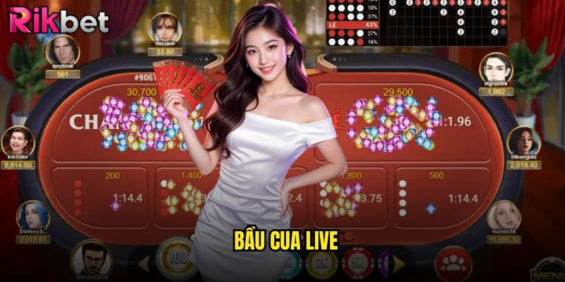 Bầu Cua Live